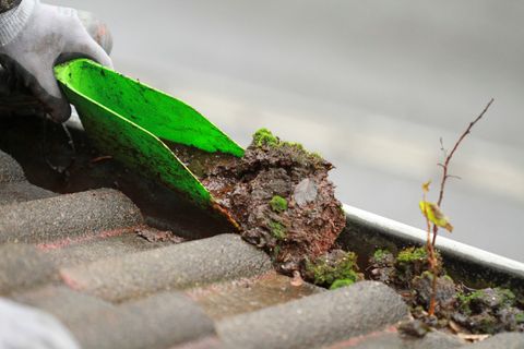 Dachrinnenreinigung Stefan Gram Leistungen 01